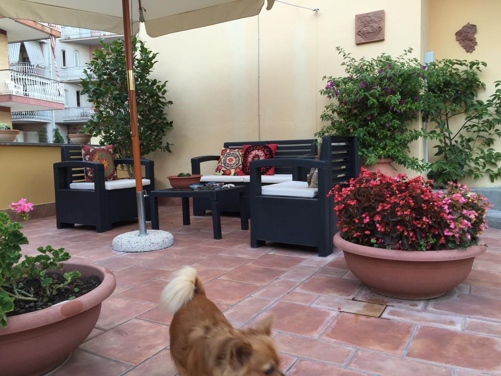 A Casa Di Grace Bed and Breakfast Cassino Exteriör bild
